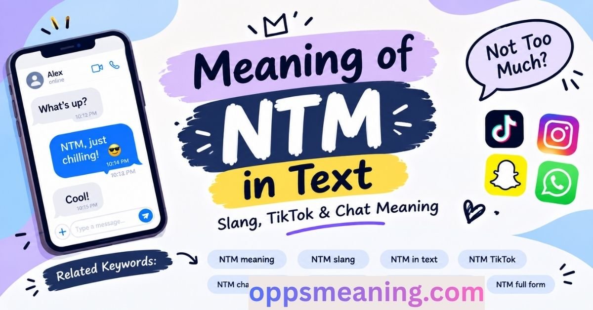 Meaning of NTM in Text
